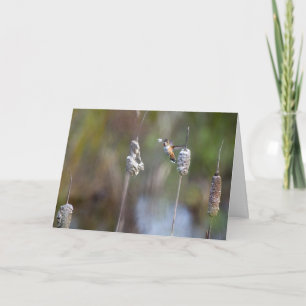 Hummingbird Collecting Cattail Notecard