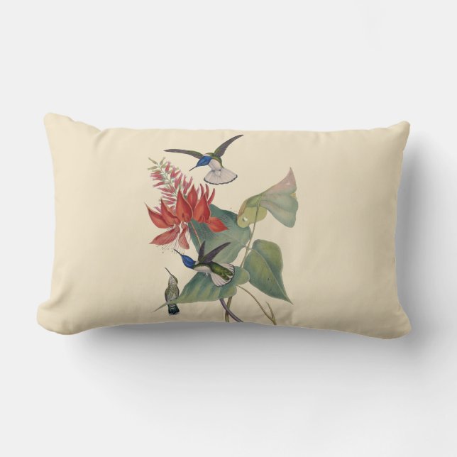 Hummingbird Coral Bean Outdoor Lumbar Pillow (Front)