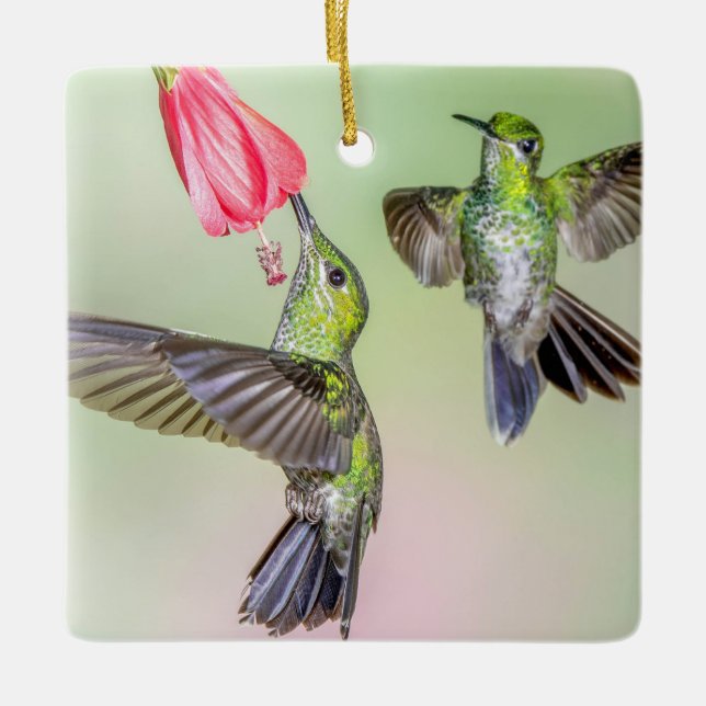 Hummingbird Couple Flying Together Name Ceramic Ornament (Front)