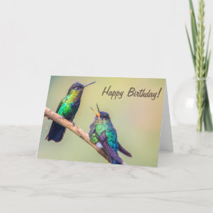 Hummingbird Couple Talking Happy Birthday Card