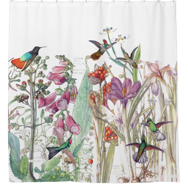 Hummingbird Crocus Foxglove Flowers Shower Curtain (Front)