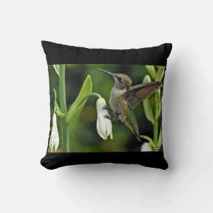 Hummingbird Cushion
