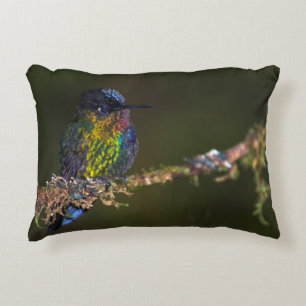 Hummingbird Decorative Cushion