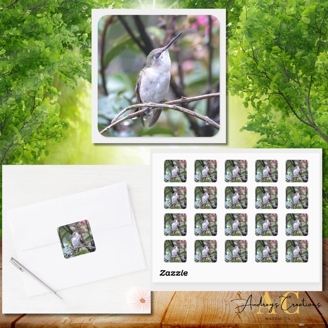 Hummingbird Design  #4Q7A9282 Square Sticker (Creator Uploaded)