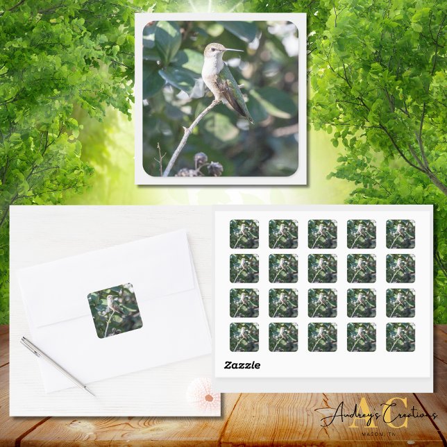 Hummingbird Design   #4Q7A9974 Square Sticker (Creator Uploaded)