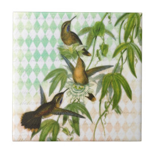 Hummingbird Digital Art Tile