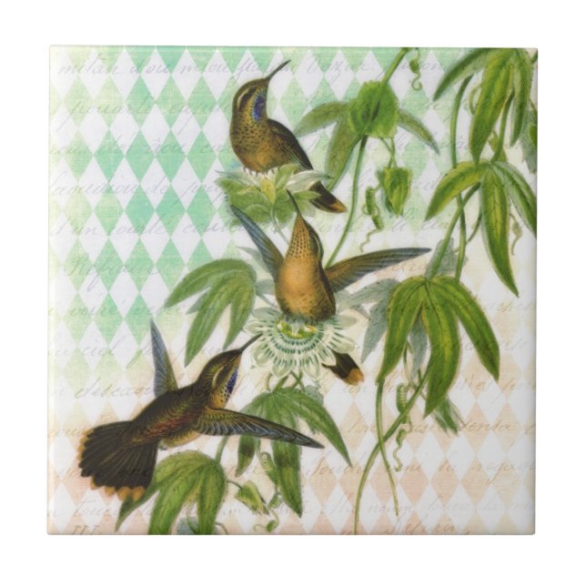 Hummingbird Digital Art Tile (Front)