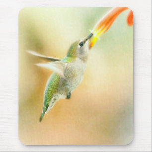 Hummingbird early morning flight mouse pad