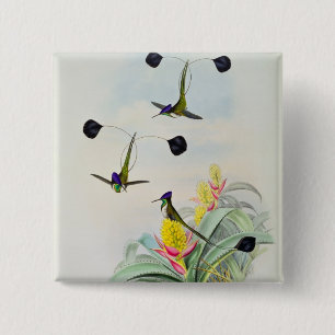 Hummingbird, engraved by Walter and Cohn 15 Cm Square Badge