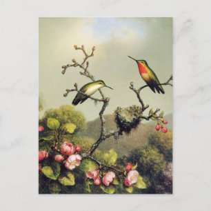 Hummingbird Family and Apple Blossom Postcard