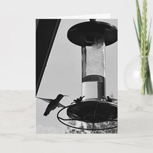 Hummingbird feeder card (Front)