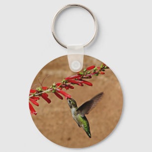 Hummingbird feeding at the garden key ring