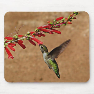 Hummingbird Feeding at the Garden Mouse Pad