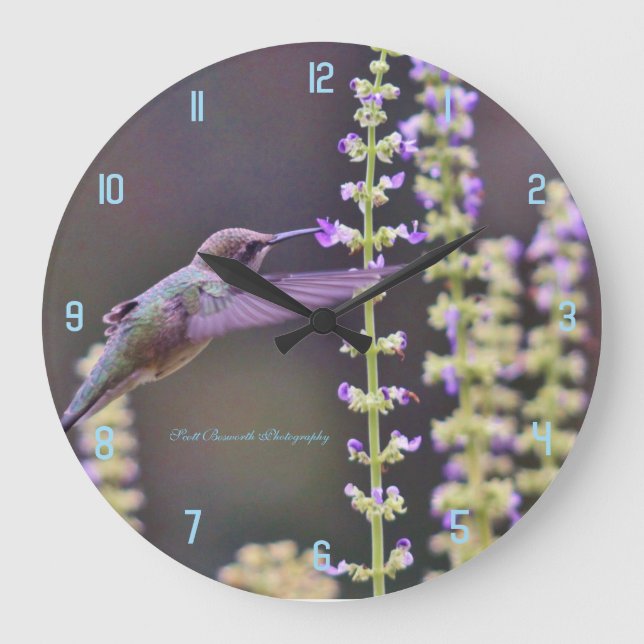 Hummingbird Feeding Large Clock (Front)