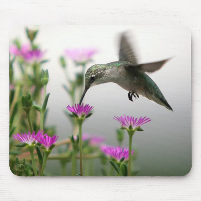 Hummingbird Feeding Mouse Pad (Front)