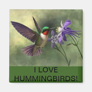 Hummingbird Feeding on a Flower Bloom Magnet