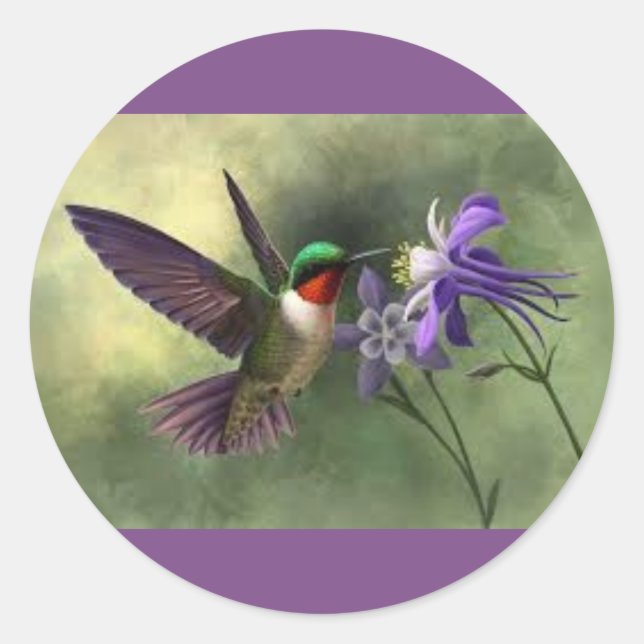 Hummingbird Feeding on a Flower Bloom Sticker (Front)