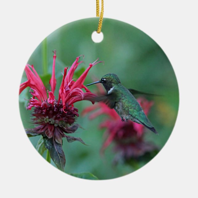 Hummingbird feeding on pink flowers ceramic tree decoration (Front)