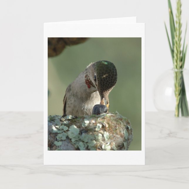 Hummingbird feeding time card (Front)