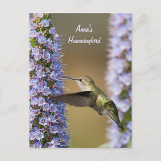 Hummingbird Flower Custom Postcard