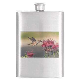 Hummingbird Flower Feeding Hip Flask