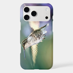 Hummingbird Flying
