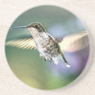 Hummingbird Flying Coaster