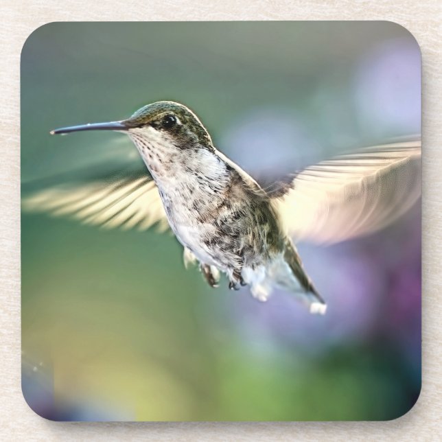 Hummingbird Flying Coaster (Front)
