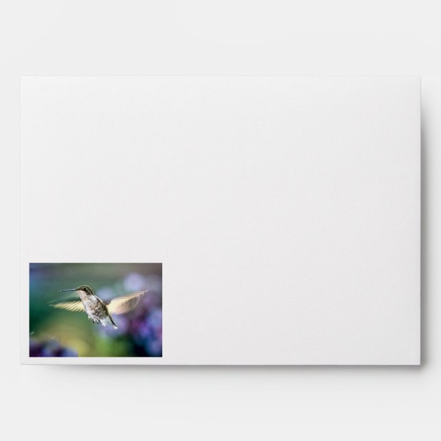 Hummingbird Flying Envelope (Front)
