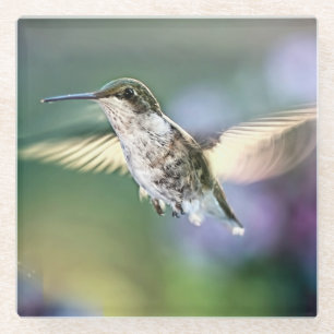 Hummingbird Flying Glass Coaster