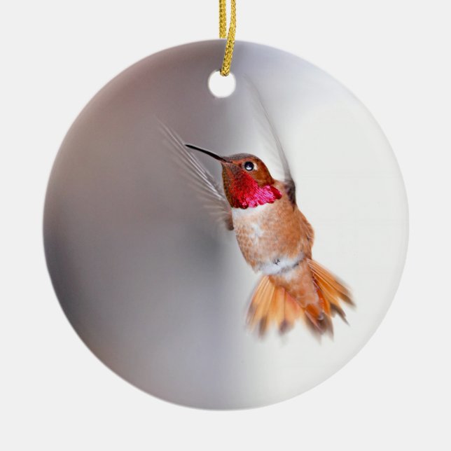 Hummingbird Flying Photo Ceramic Tree Decoration (Front)