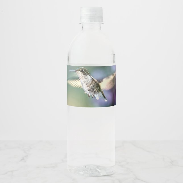Hummingbird Flying Water Bottle Label (Front)