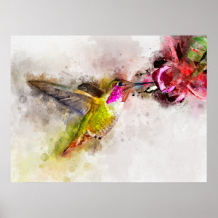 Hummingbird flying with flower Watercolor - 04 Poster