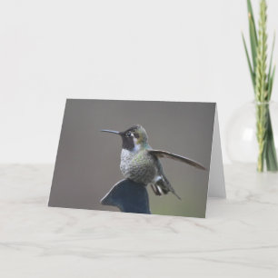 Hummingbird Frameable Art Card