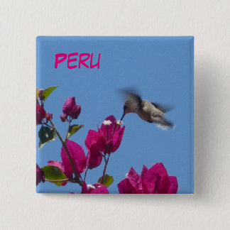 Hummingbird from Peru Button