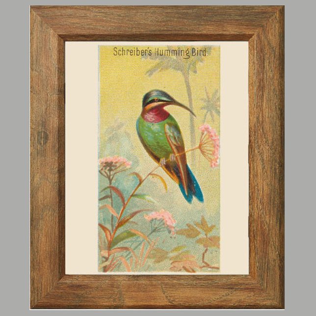 Hummingbird, Gallery Wall Art Set of 6, 5/6 Poster (Creator Uploaded)