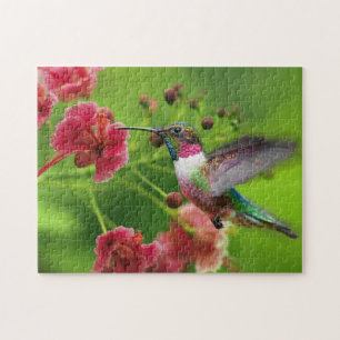 Hummingbird Game Puzzle
