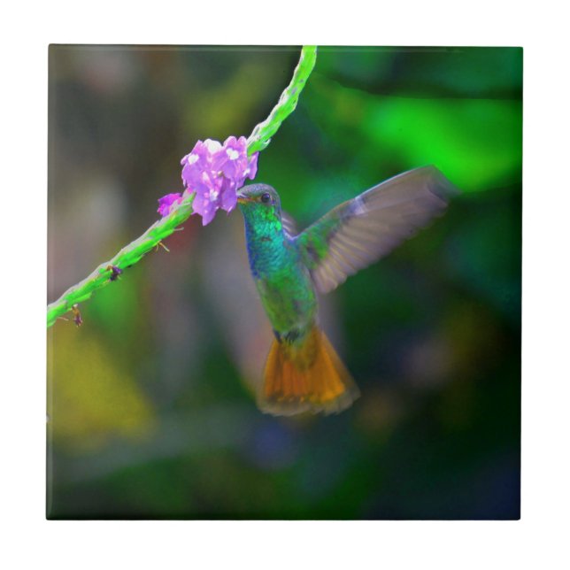 Hummingbird Garden Ceramic Tile (Front)