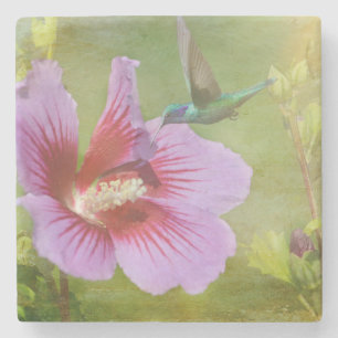 Hummingbird Gathering Nectar Stone Coaster