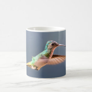 Hummingbird Golden Tailed Sapphire Female Flying Coffee Mug