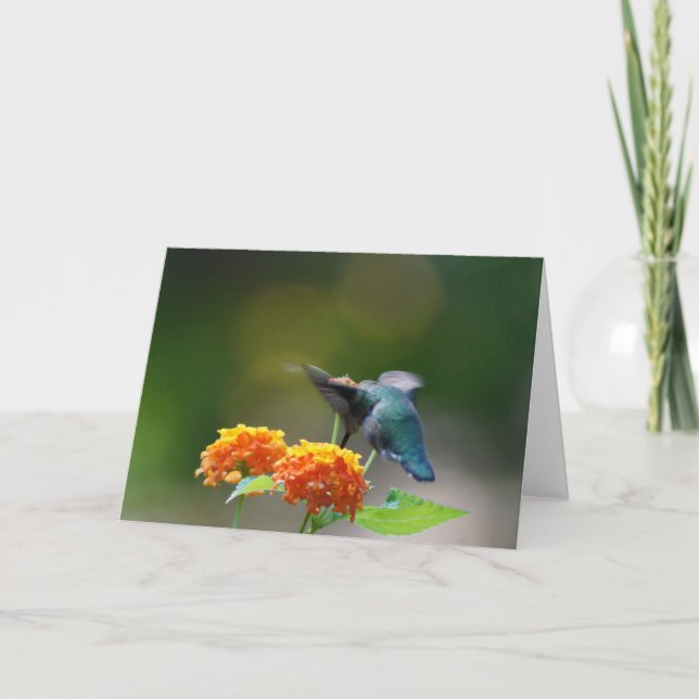 Hummingbird Greeting Card (Front)