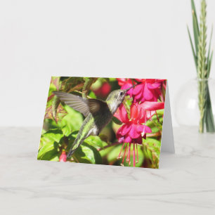 Hummingbird Greeting Card