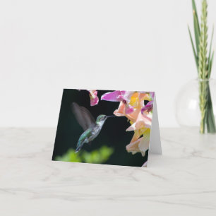hummingbird greeting card