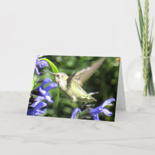 Hummingbird Greeting Card