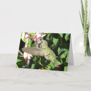 Hummingbird Greeting Card