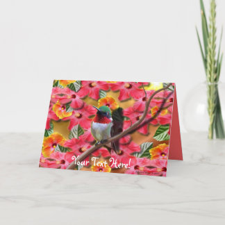 Hummingbird Haven Birthday Card