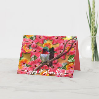 Hummingbird Haven Happy Mothers Day Card