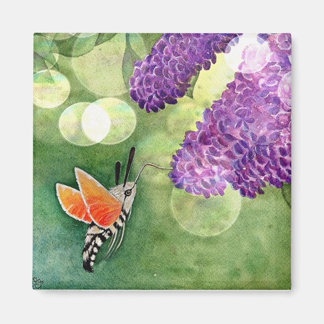 Hummingbird Hawk Moth and Lilacs Magnet (Front)