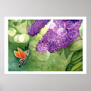 Hummingbird Hawk Moth and Lilacs Poster