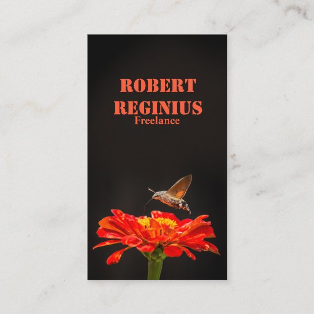 Hummingbird Hawk-moth Business Card (Front)
